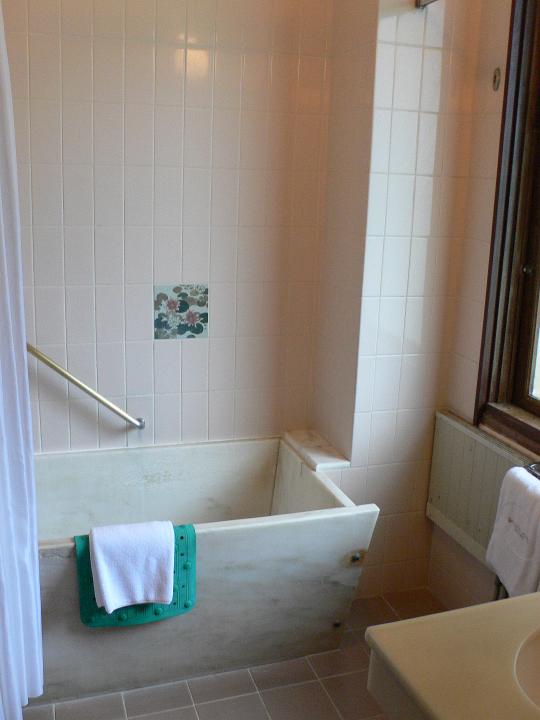 P1040777.JPG - クラシックな浴室。水蓮の絵のタイルがはめ込まれている
